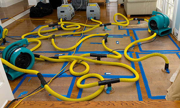 Professional Crawl Space Water Removal technician working in Chichester, NH